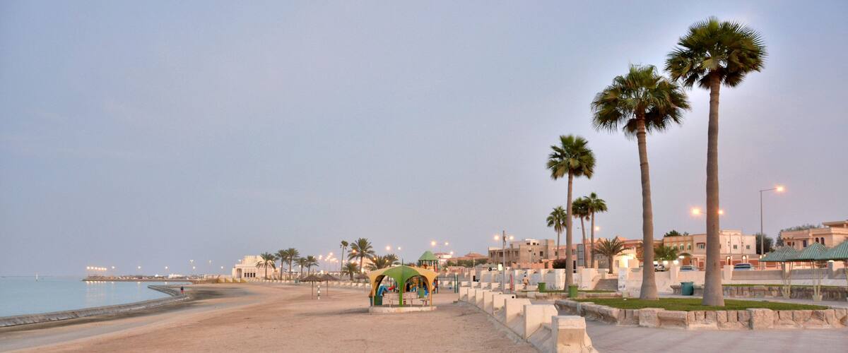 A beach with palm trees, a playground, and a cityscape in the background.