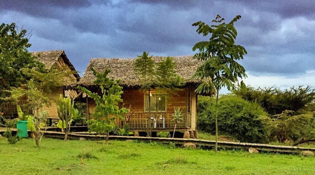 Great bungalows near the main entrance to the Masaai Mara National Reserve. Excellent value compared to some more expensive lodges in the area.
#kenya #safari #masaimara #masaai #gamereserve