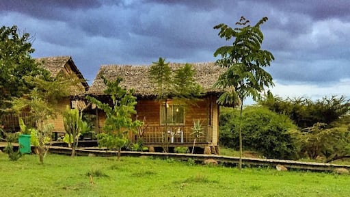 Great bungalows near the main entrance to the Masaai Mara National Reserve. Excellent value compared to some more expensive lodges in the area.
#kenya #safari #masaimara #masaai #gamereserve