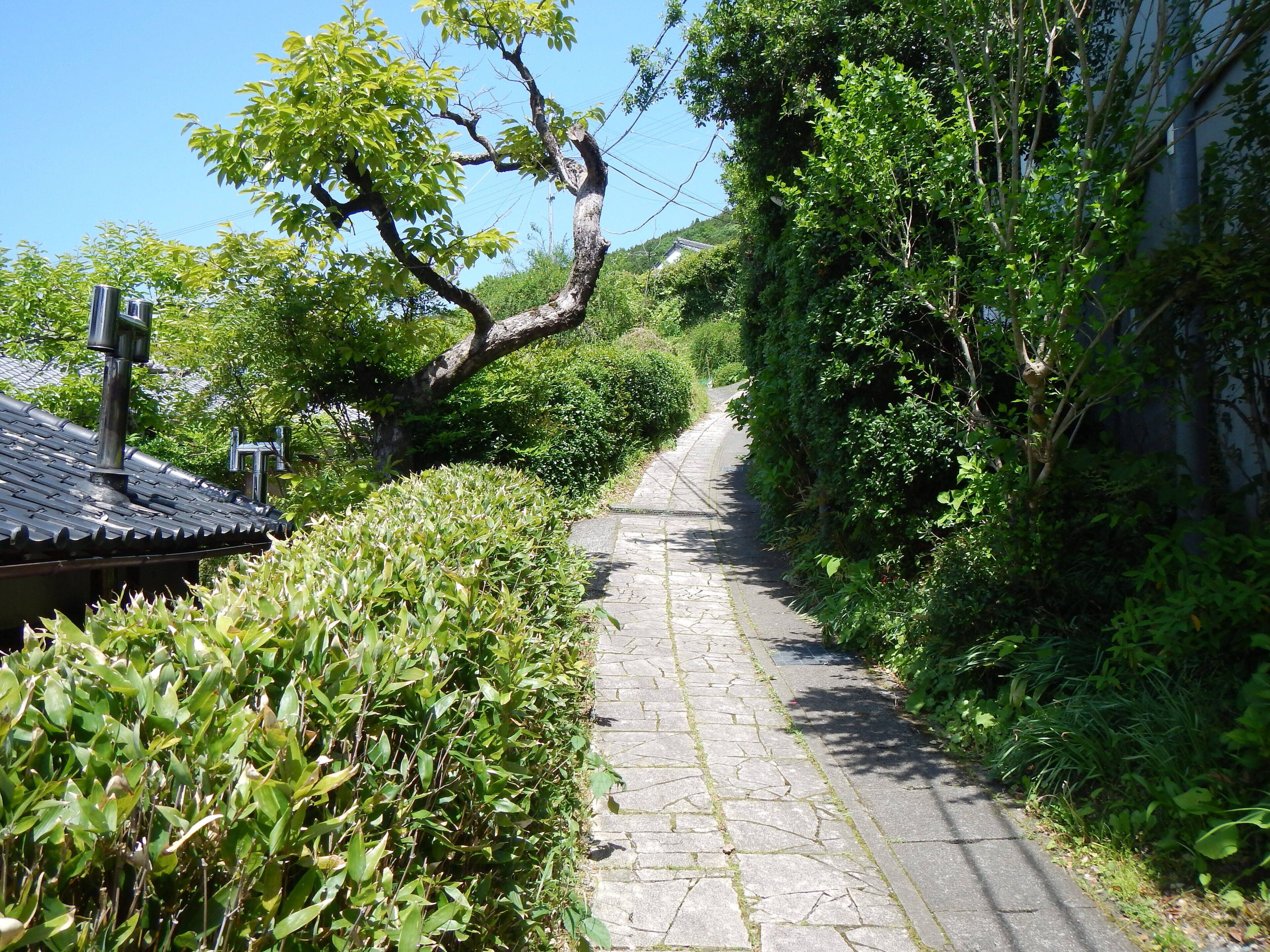 A stone pathway flanked by lush greenery and a traditional building with a tiled roof.