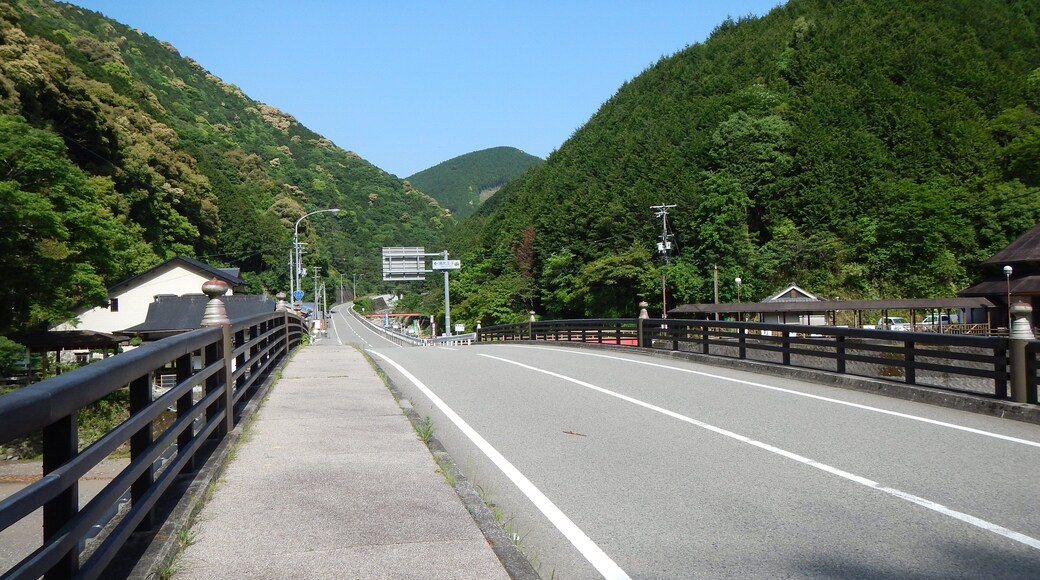 Kumano Kodo pilgrimage route Nakahechi From Takijiri-Oji To Gyuba-Doji World heritage 熊野古道 中辺路 滝尻王子~牛馬童子