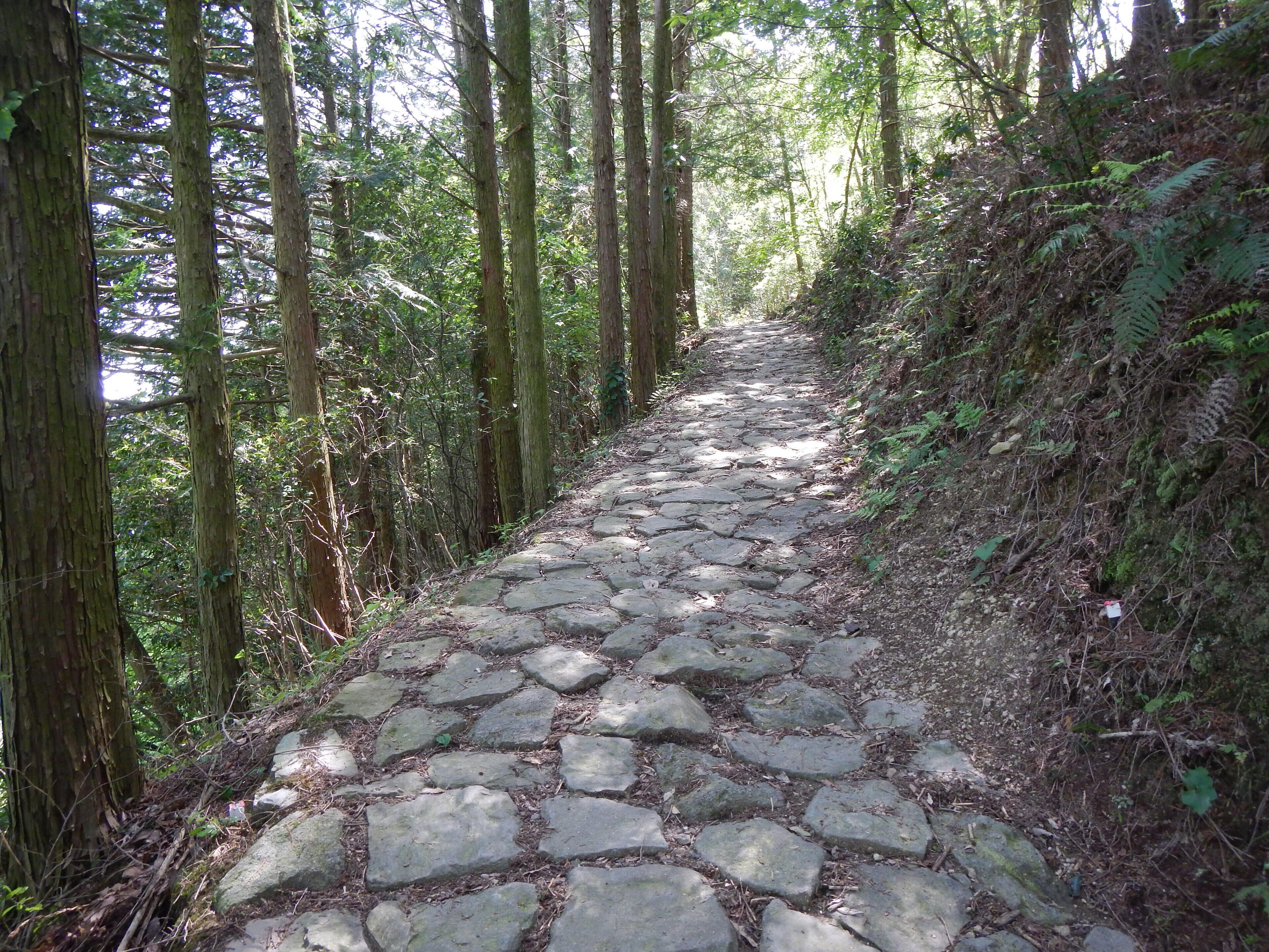 Kumano Kodo pilgrimage route Nakahechi From Takijiri-Oji To Gyuba-Doji World heritage 熊野古道 中辺路 滝尻王子～牛馬童子