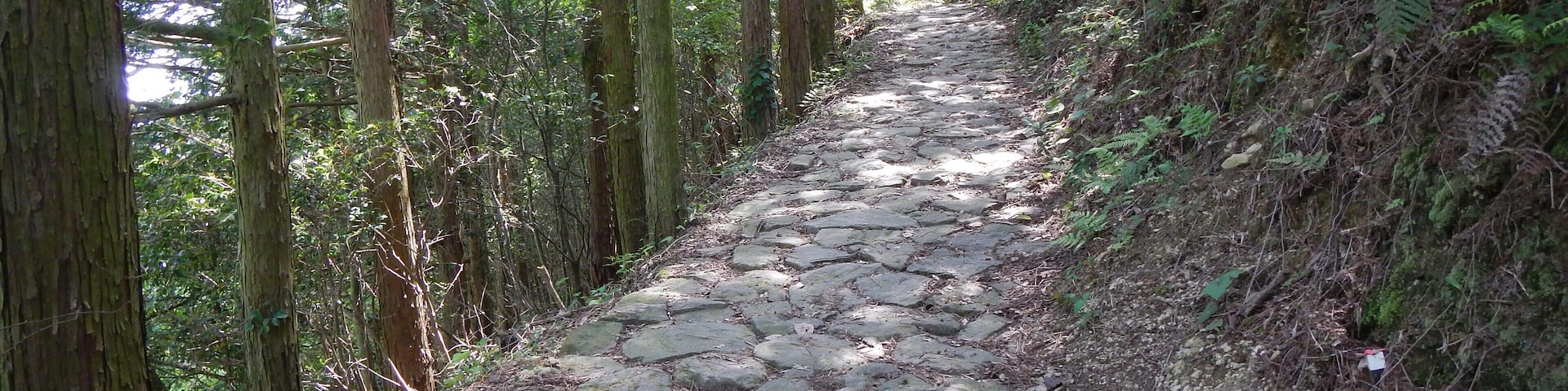 Kumano Kodo pilgrimage route Nakahechi From Takijiri-Oji To Gyuba-Doji World heritage çéć€é äžèŸșè·Ż æ»ć°»çćïœç銏竄ć