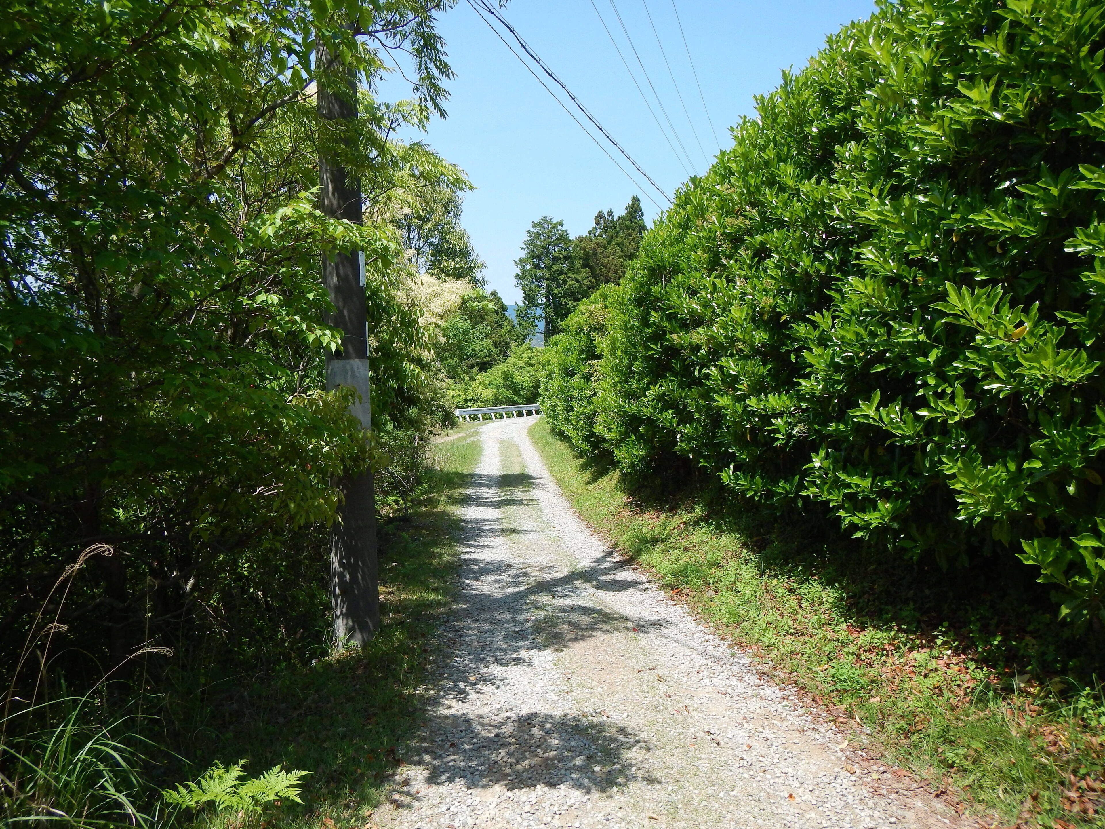Kumano Kodo pilgrimage route Nakahechi From Takijiri-Oji To Gyuba-Doji World heritage 熊野古道 中辺路 滝尻王子～牛馬童子