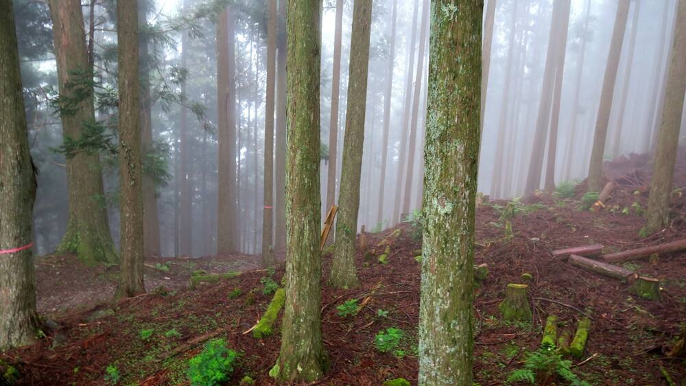 #TakeAHike through the Wayakama mountains, as part of the Kimani Kodo pilgrimage trail