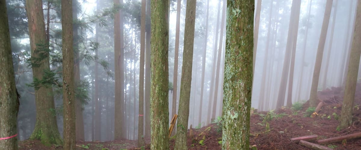 #TakeAHike through the Wayakama mountains, as part of the Kimani Kodo pilgrimage trail