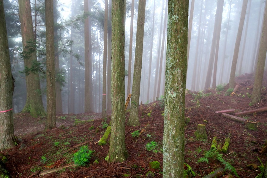 #TakeAHike through the Wayakama mountains, as part of the Kimani Kodo pilgrimage trail
