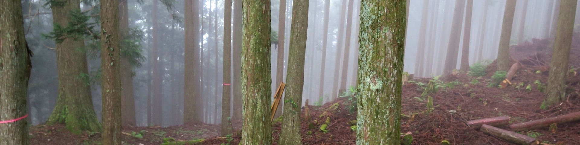#TakeAHike through the Wayakama mountains, as part of the Kimani Kodo pilgrimage trail
