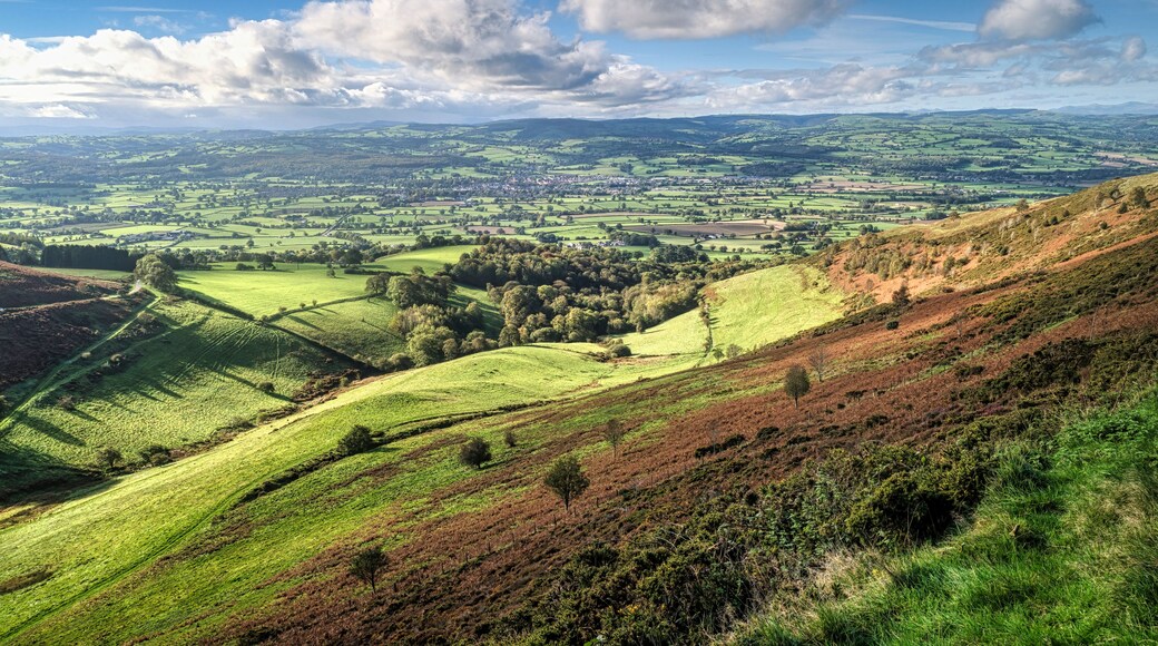 Rolling hills, a valley, and a distant town.