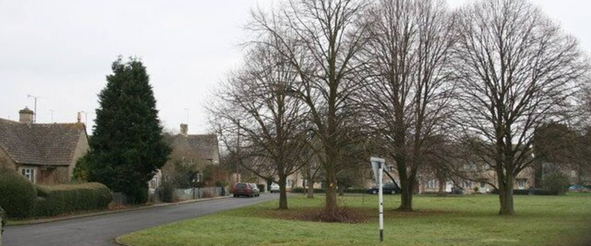 A residential street with houses, a roundabout, and leafless trees.