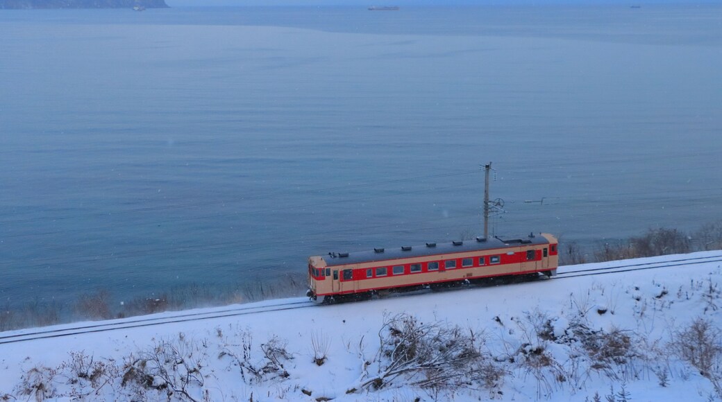 極寒の函館湾を背景にを走る道南いさりび鉄道キハ40系気動車(国鉄急行色)_2020/12/27撮影