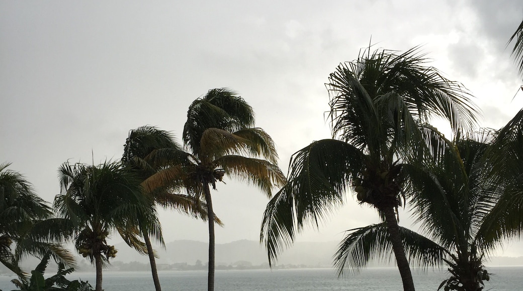 View of Grand Anse Beach in the distance, in the rain.