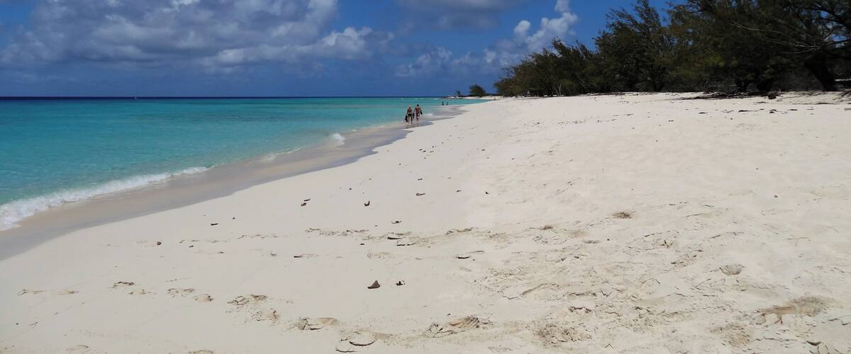 #GrandTurk #beach #Governor
A praia de Governor's Beach fica a uns 15 minutos a pé do Terminal de Cruzeiros de Grand Turk. Água calma e cristalina com pequenos grupos de corais cheios de peixes multicoloridos. Na praia tem ainda um barco encalhado que lhe dá um toque todo especial. Pouca infraestrutura.
Governor's Beach is a 15-minute walk from the Grand Turk Cruise Terminal. Calm and crystal clear water with small groups of coral filled with multicolored fish. On the beach there is also a stranded boat that gives it a special touch. Little infrastructure.