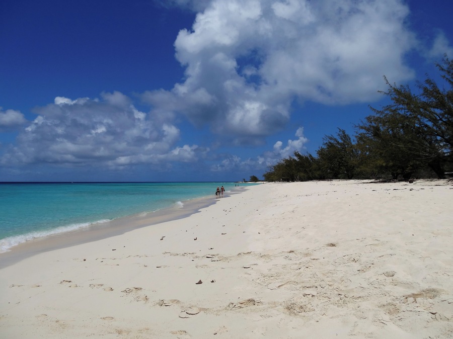 #GrandTurk #beach #Governor
A praia de Governor's Beach fica a uns 15 minutos a pé do Terminal de Cruzeiros de Grand Turk. Água calma e cristalina com pequenos grupos de corais cheios de peixes multicoloridos. Na praia tem ainda um barco encalhado que lhe dá um toque todo especial. Pouca infraestrutura.
Governor's Beach is a 15-minute walk from the Grand Turk Cruise Terminal. Calm and crystal clear water with small groups of coral filled with multicolored fish. On the beach there is also a stranded boat that gives it a special touch. Little infrastructure.