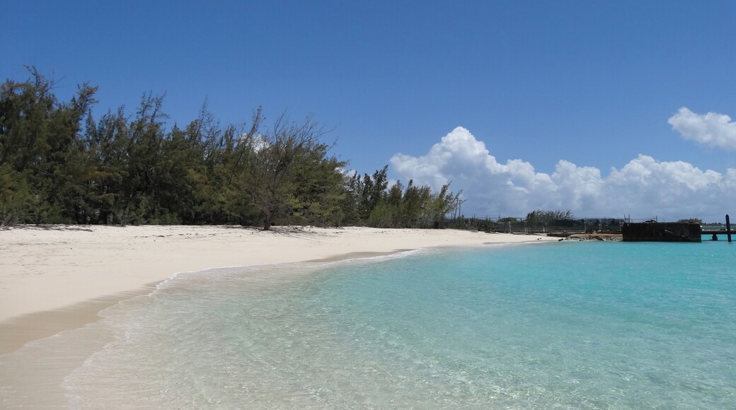 #GrandTurk #beach #Governor
A praia de Governor's Beach fica a uns 15 minutos a pé do Terminal de Cruzeiros de Grand Turk. Água calma e cristalina com pequenos grupos de corais cheios de peixes multicoloridos. Na praia tem ainda um barco encalhado que lhe dá um toque todo especial. Pouca infraestrutura.
Governor's Beach is a 15-minute walk from the Grand Turk Cruise Terminal. Calm and crystal clear water with small groups of coral filled with multicolored fish. On the beach there is also a stranded boat that gives it a special touch. Little infrastructure.