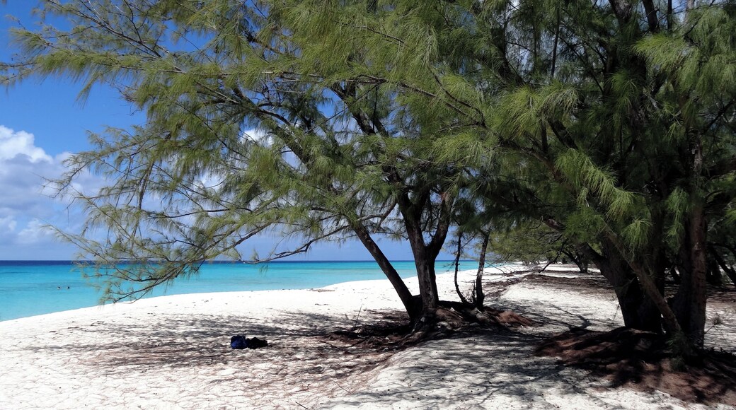 #GrandTurk #beach #Governor
A praia de Governor's Beach fica a uns 15 minutos a pé do Terminal de Cruzeiros de Grand Turk. Água calma e cristalina com pequenos grupos de corais cheios de peixes multicoloridos. Na praia tem ainda um barco encalhado que lhe dá um toque todo especial. Pouca infraestrutura.
Governor's Beach is a 15-minute walk from the Grand Turk Cruise Terminal. Calm and crystal clear water with small groups of coral filled with multicolored fish. On the beach there is also a stranded boat that gives it a special touch. Little infrastructure.