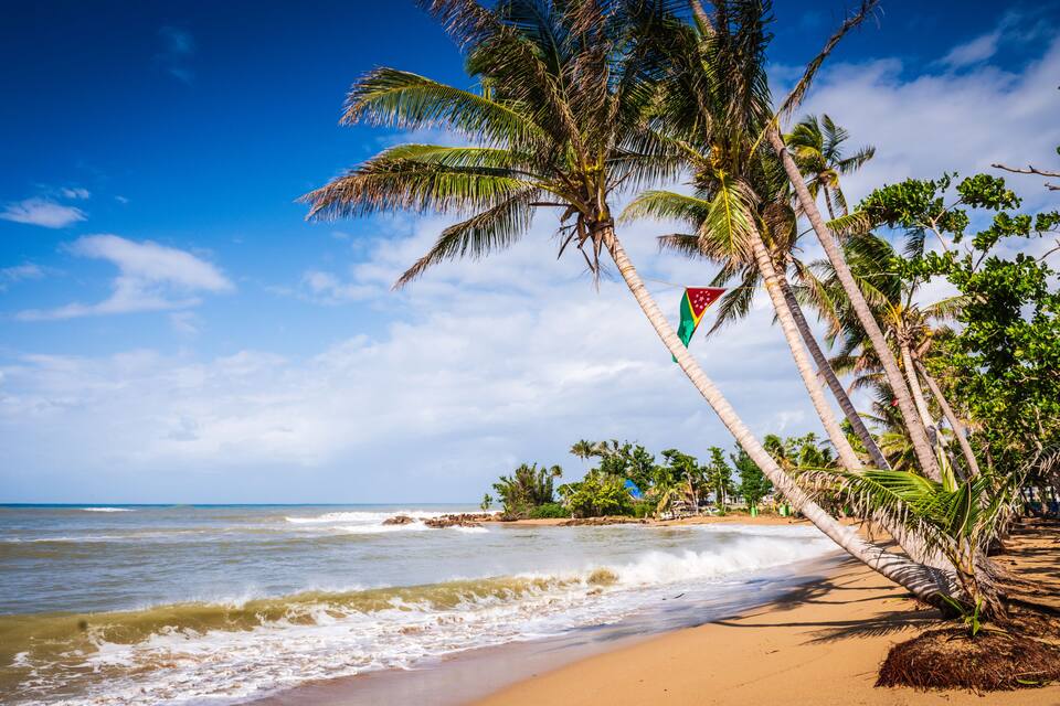 A beach with palm trees, ocean waves, and a flag.