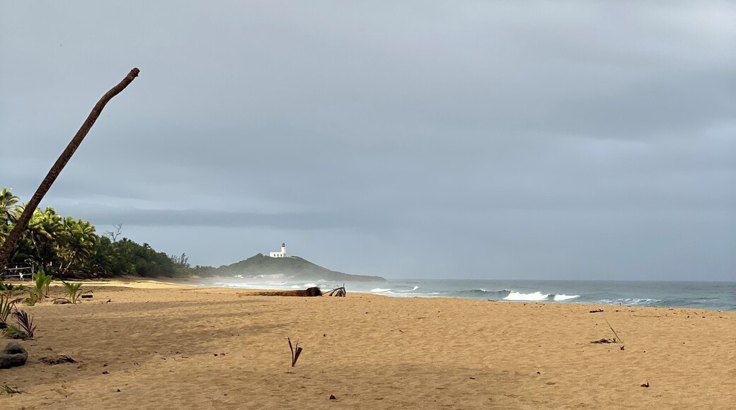 Dramatic and remote and a great place to beach comb