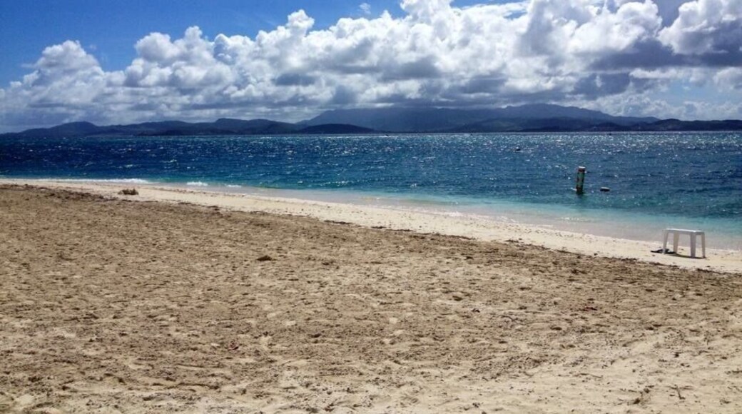 Small private island, just a short ferry ride away. Overpriced food and beverages but tons of great chairs. #blue