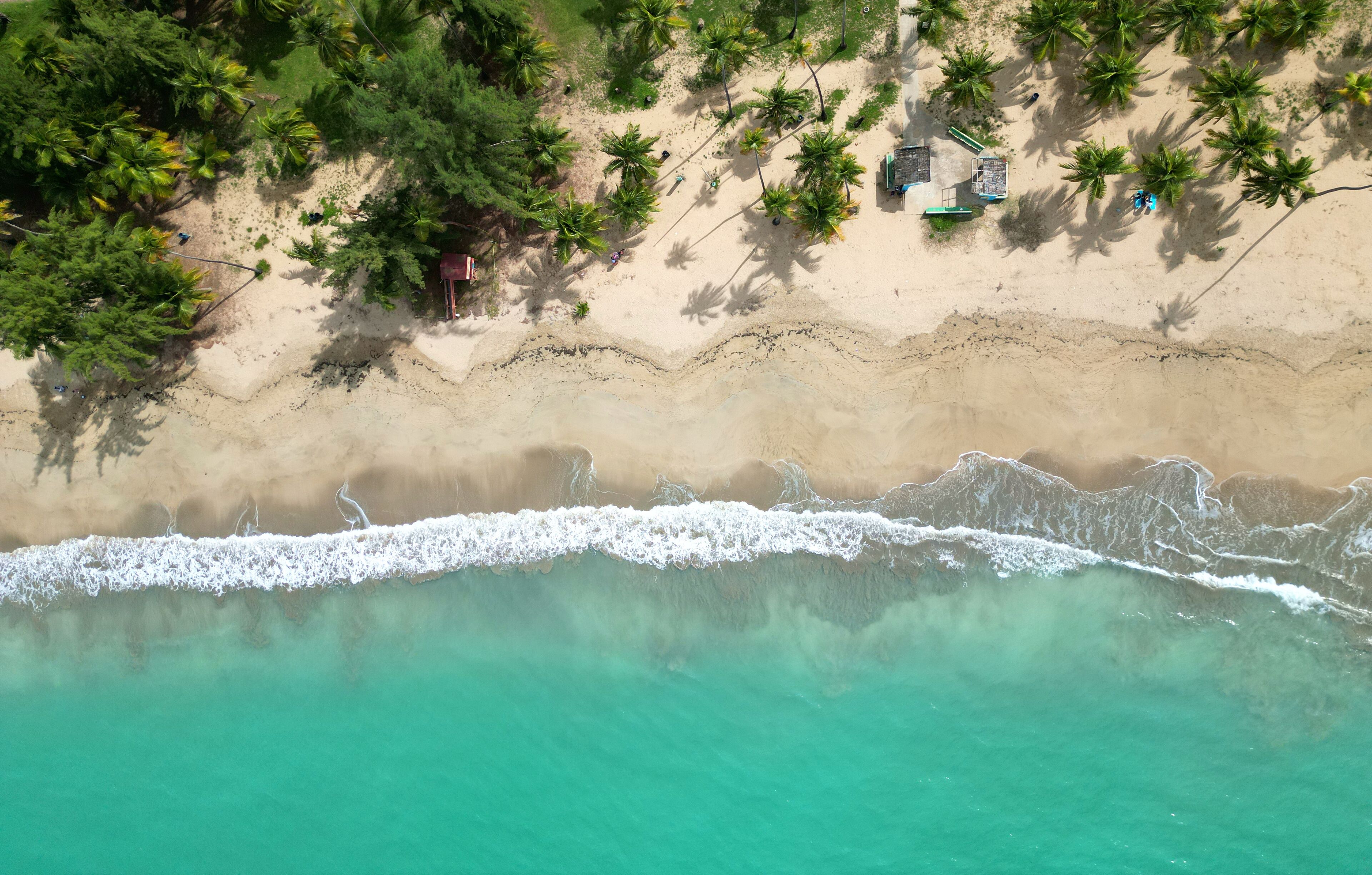 beach water from above (drone shot looking down at turquoise blue green waves, surf, sand, palm tree shadow) coastline on luquillo beach, puerto rico (playa la pared beach) daytime dusk sunset