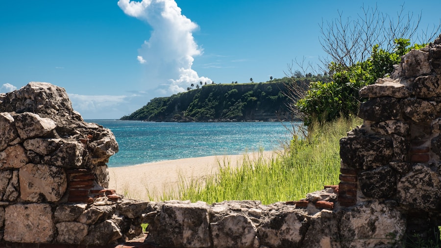 サバイバル ビーチ