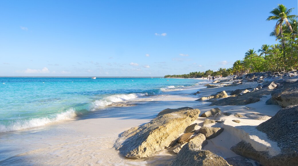 Catalina island - Playa de la isla Catalina - Caribbean tropical beach and sea