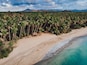 Aerial drone view of paradise beach with palm trees, blue water and mountains at the Esmeralda beach, Miches, Dominican Republic