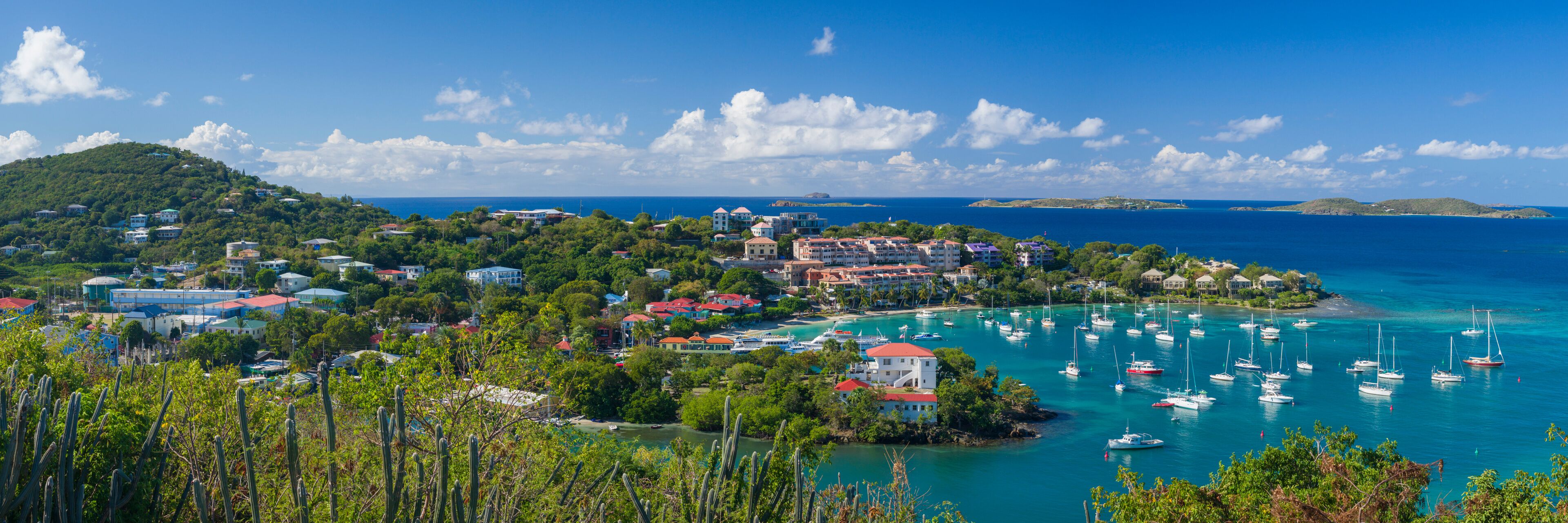 A coastal town with buildings, a harbor filled with boats, and a mountainous backdrop.