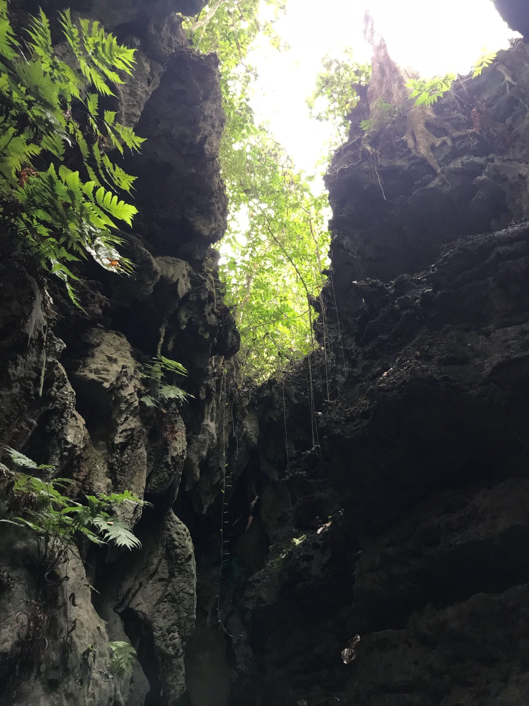 Half the fun is the journey towards these magnificent caves. 
The drive in a convoy through the reserved forests (spotted tribal people), the vehicle ferry, the speed boat on which you cross a narrow creek and then finally the picturesque 1.2 km trek till the caves. 