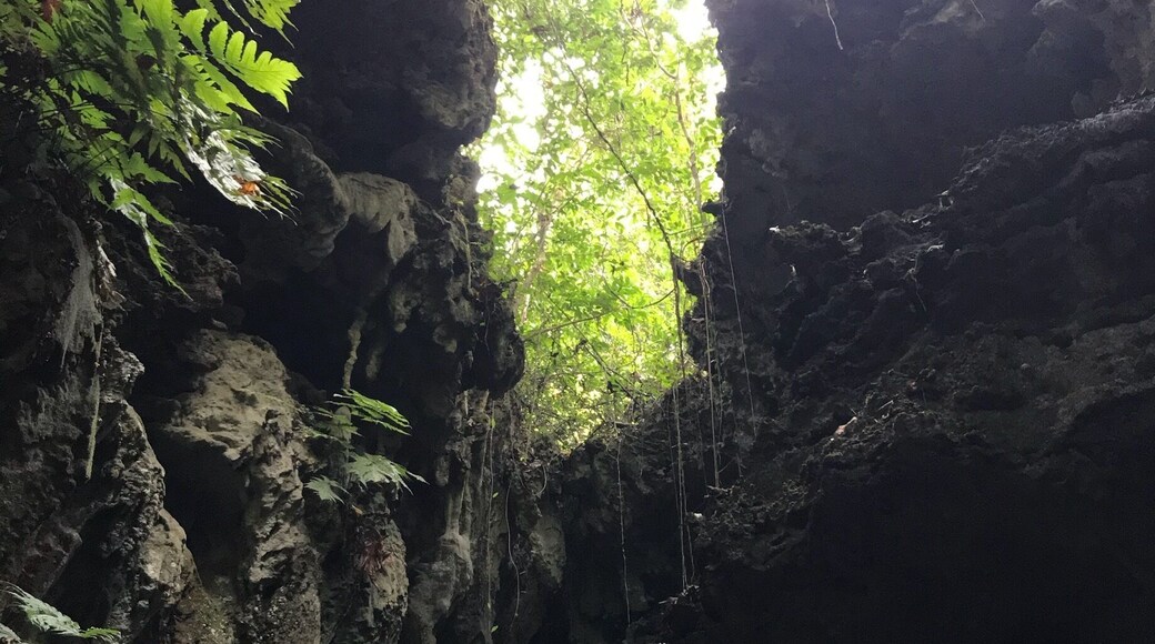 Half the fun is the journey towards these magnificent caves.
The drive in a convoy through the reserved forests (spotted tribal people), the vehicle ferry, the speed boat on which you cross a narrow creek and then finally the picturesque 1.2 km trek till the caves.