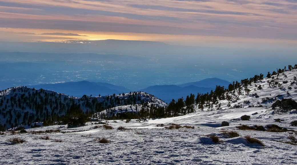Skigebiet Mount Baldy