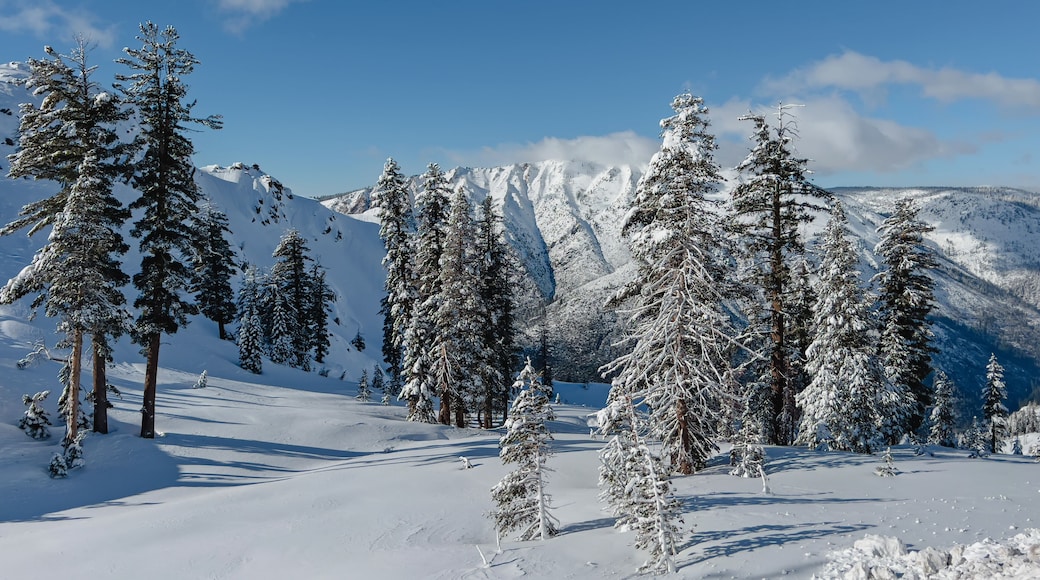 Estación de ski de Bear Valley