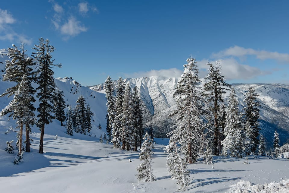 Un paysage de montagne enneigé, avec des arbres à feuilles persistantes et un ciel bleu dégagé.