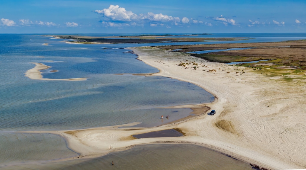 Playa de Cedar Island
