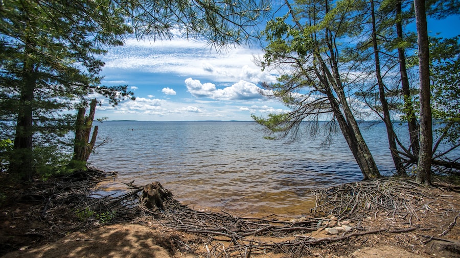 หาดฟอเรสต์พาร์ค
