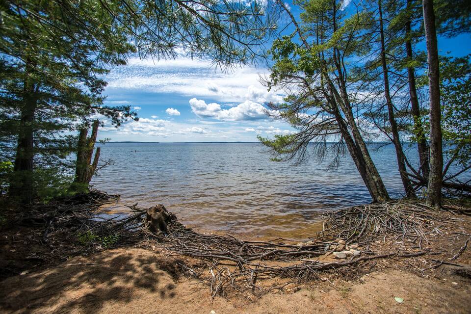 A lake surrounded by trees and a sandy shore.