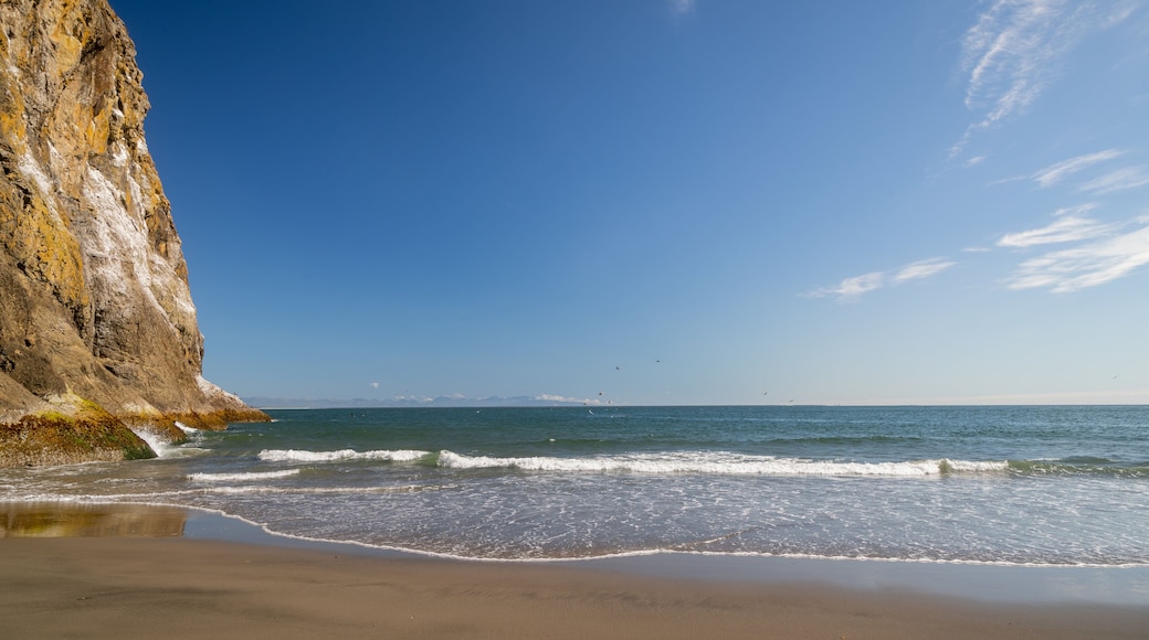 Waikiki Beach showing general coastal views and a sandy beach