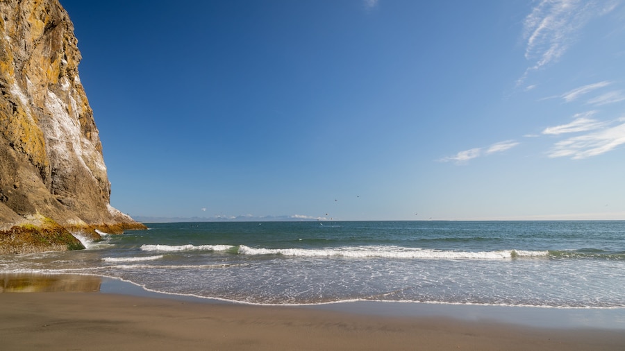 Waikiki Beach showing general coastal views and a sandy beach