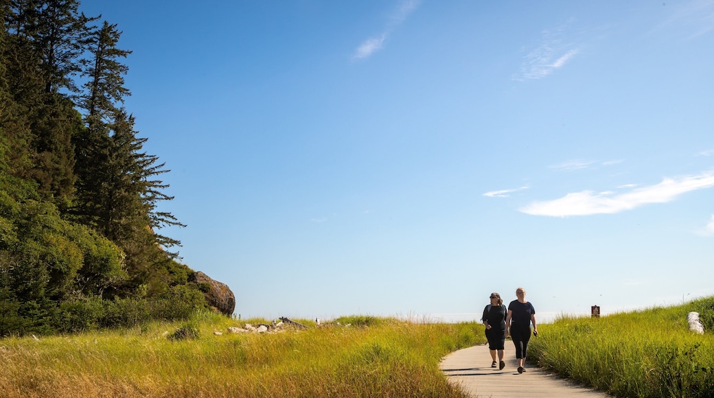 Waikiki Beach which includes tranquil scenes as well as a couple