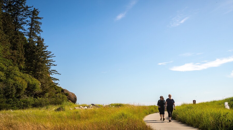 Waikiki Beach which includes tranquil scenes as well as a couple