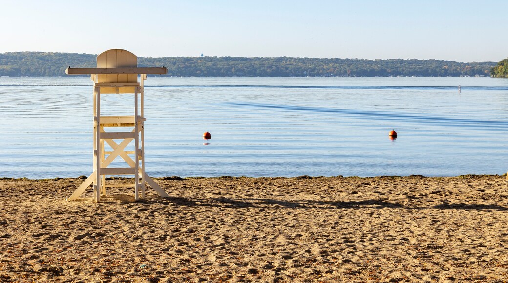Plage de White Sands