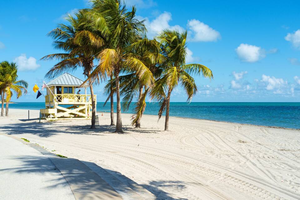 Een strand met een uitkijktoren voor de badmeester, palmbomen en een helderblauwe lucht.