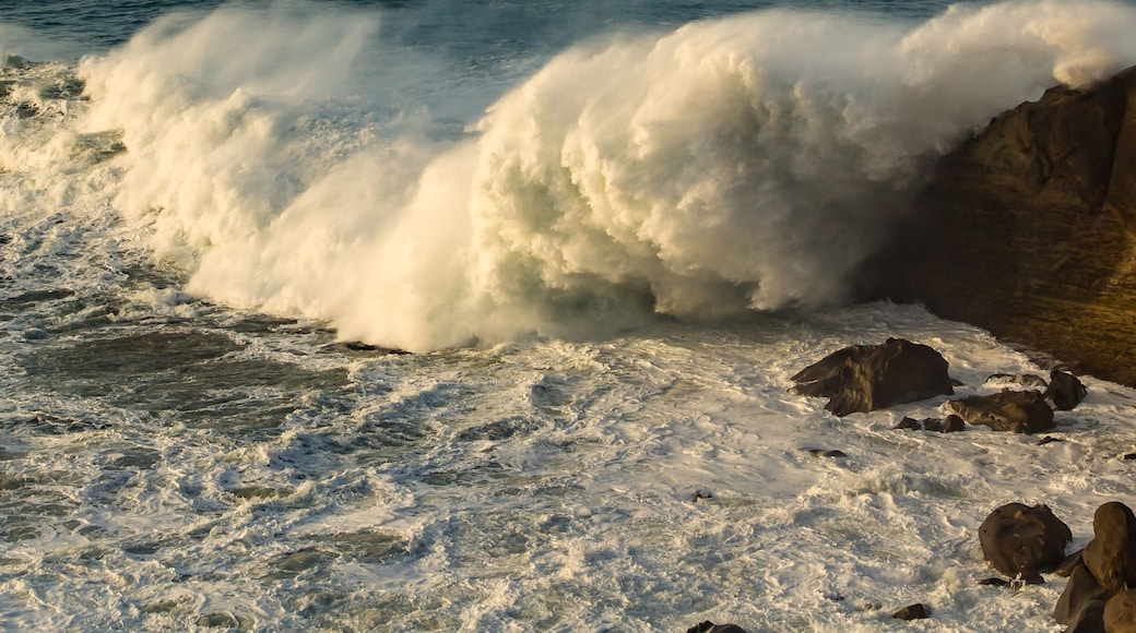 Plage de Pacific City