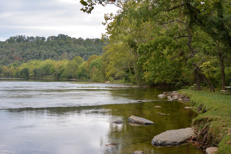 A river with rocks and trees along the banks.