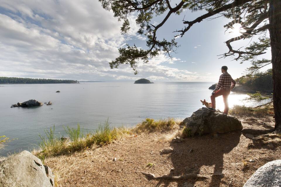 A person standing on a rock by a lake with a forest in the background.
