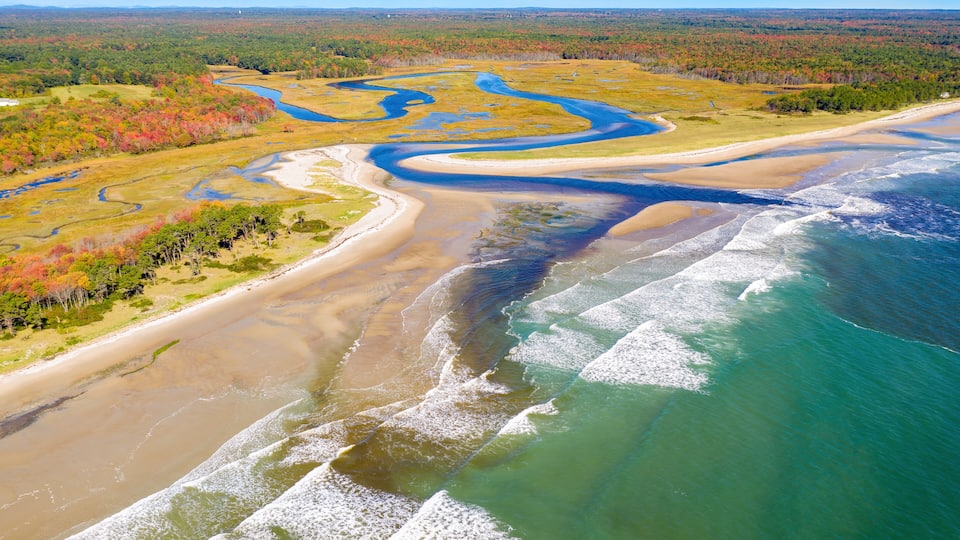 An aerial view of a coastal area with a river delta, sandy beaches, and a forested landscape.