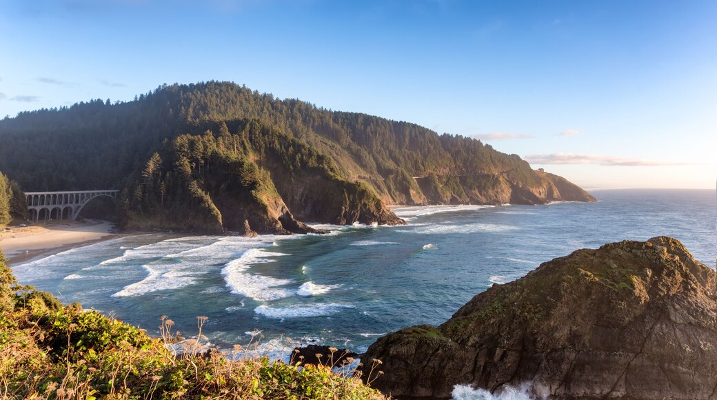 Playa de Seaside Cove