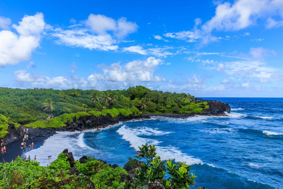A coastal landscape with lush greenery, a rocky shoreline, and the ocean.