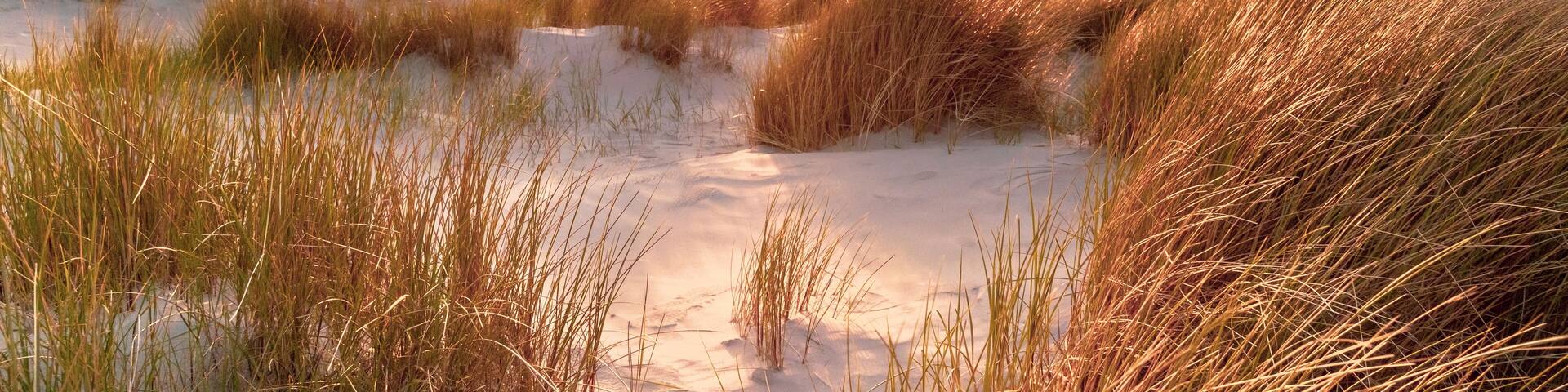 View from dune top over North Sea