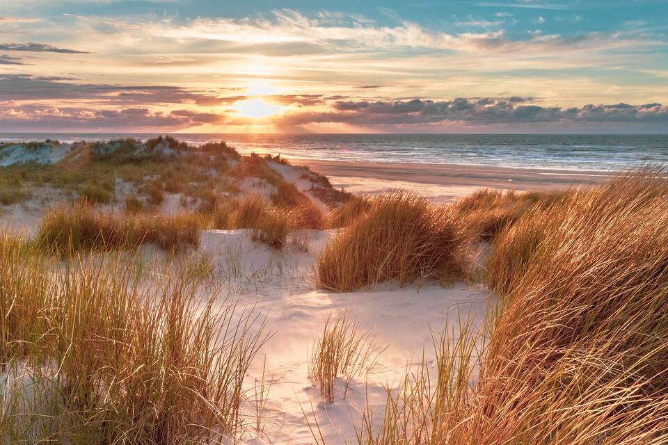 A beach with sand dunes and grass.